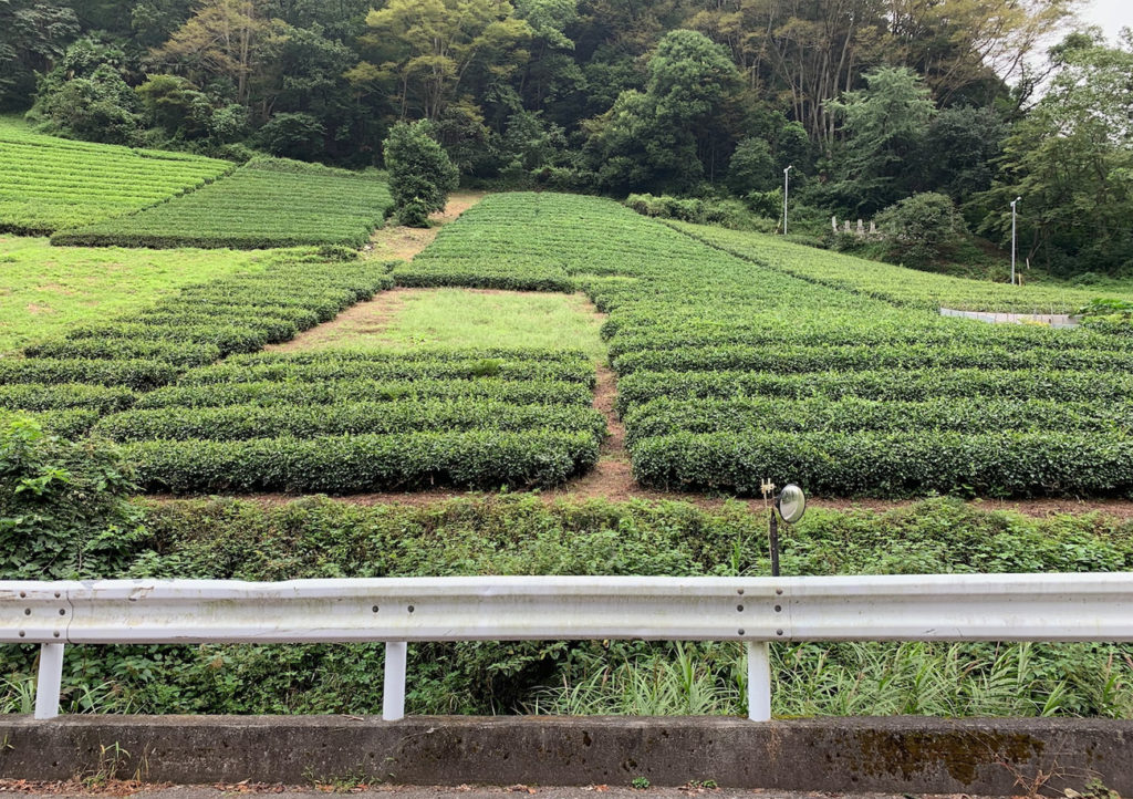 Tokyo Tea Plantation Terrace
